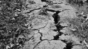Dry Cracked Ground