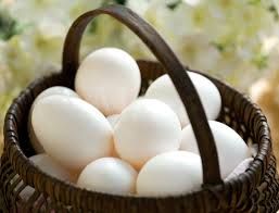 WhiteEggBasket