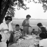 Family Picnic