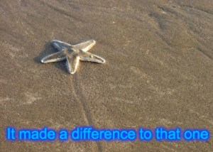 starfish difference