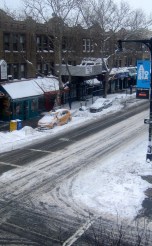 At a CrossRoads in your Life... Nature's Gifts may declutter and illuminate the path, so that you can see more Clearly