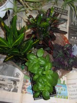 Less than $15 for All Four...