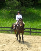 Cassidy. Toronto, Ontario