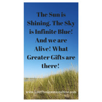 the-sun-is-shining-the-sky-is-infinite-blue-and-we-are-alive-what-greater-gifts-are-there