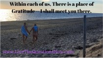 within-each-of-us-there-is-a-place-of-gratitude-i-shall-meet-you-there